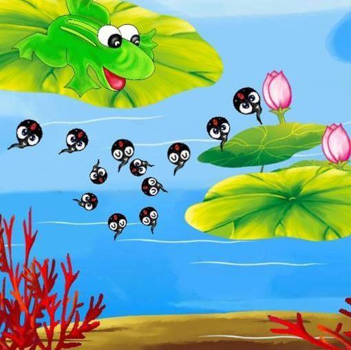 国产原创精品小蝌蚪视频,寓教于乐，传承中华美德