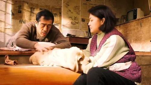 国产最催泪电影片段视频,泪洒心间，情感共鸣的时刻