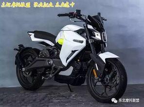 国产电摩对比评测视频教程,性能与性价比的全面解析