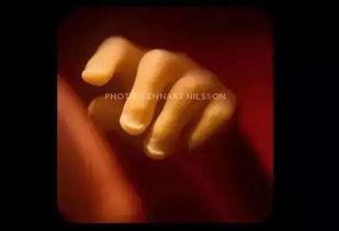 精子在线视频免费国产,免费国产生精子在线视频揭秘