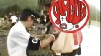 国产gv视频18巴土,国产GV视频中的青春记忆与情感纠葛